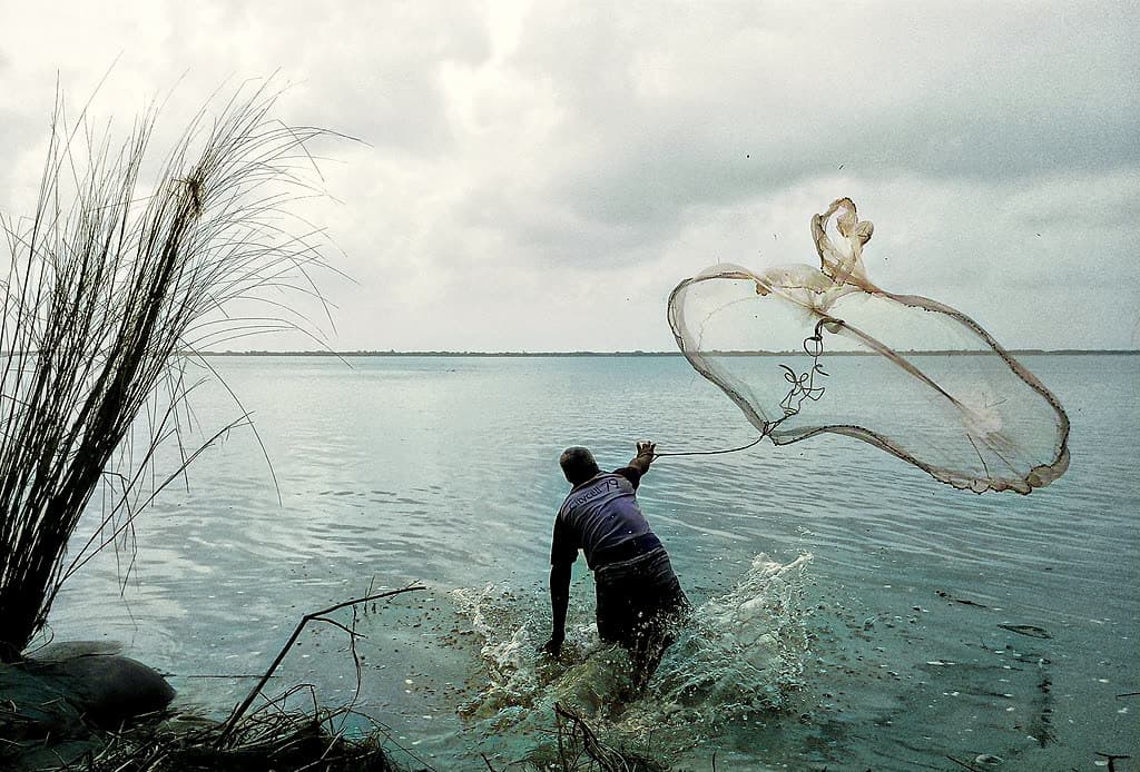 Cast Net vs. Throw Net vs. Drag Net: What's the Difference?