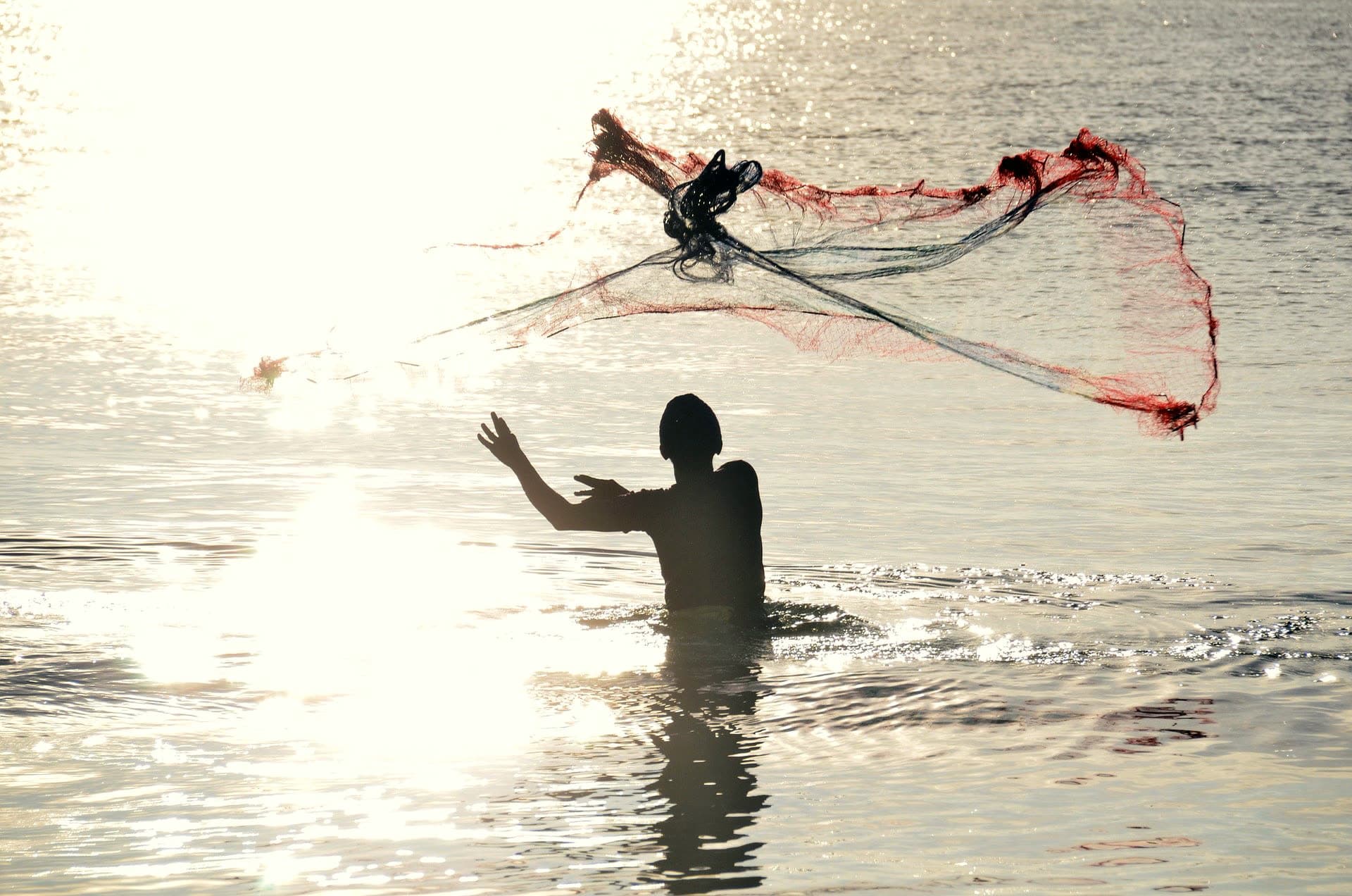 Commercial Cast Nets: What Serious Anglers Need to Know