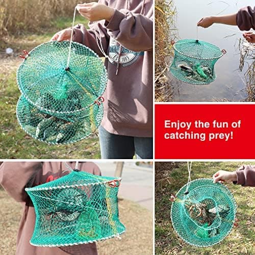 Crab & Spring Traps — image 2