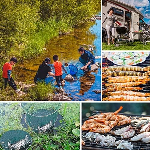 Crab & Spring Traps — image 3