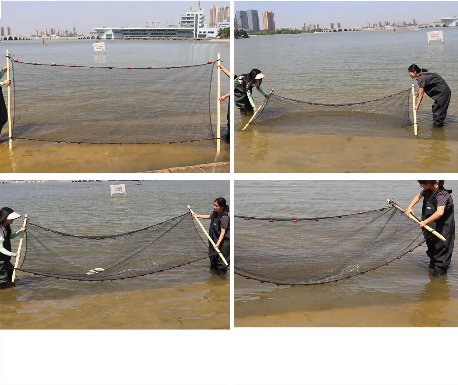 Seine Net — image 8